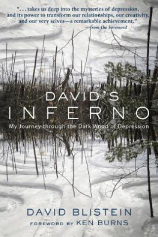 Kniha David's Inferno David Blistein
