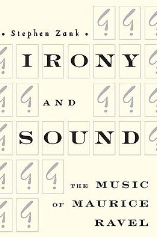 Buch Irony and Sound Stephen Zank