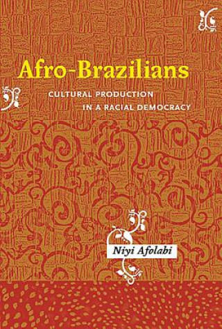 Kniha Afro-Brazilians Niyi Afolabi