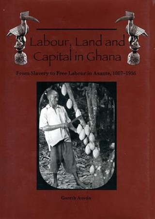 Kniha Labour, Land and Capital in Ghana Gareth Austin
