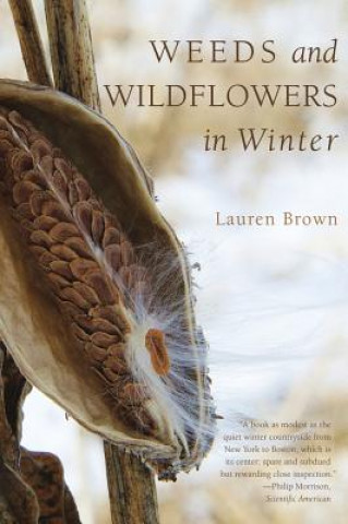 Könyv Weeds and Wildflowers in Winter Lauren Brown