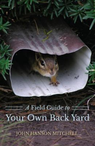 Książka Field Guide to Your Own Back Yard John Hanson Mitchell