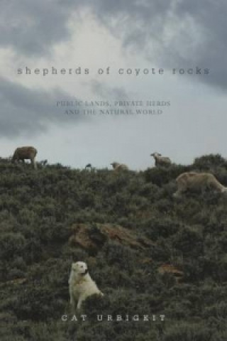 Carte Shepherds of Coyote Rocks Cat Urbigkit