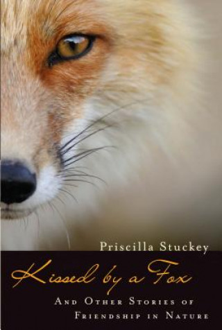 Carte Kissed by a Fox Priscilla Stuckey
