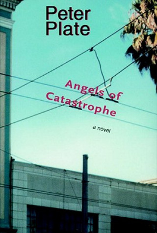 Könyv Angels Of Catastrophe Peter Plate