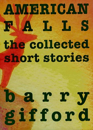 Kniha American Falls Barry Gifford