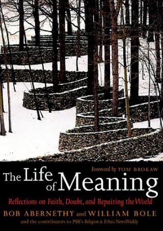 Kniha Life of Meaning Bob Abernethy