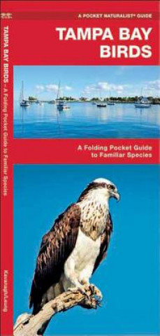 Kniha Tampa Bay Birds James Kavanagh