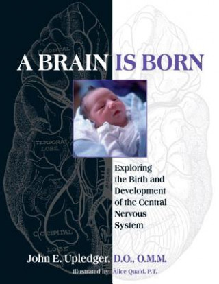 Könyv Brain Is Born John E. Upledger