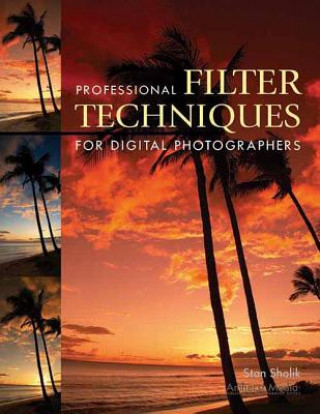 Kniha Professional Filter Techniques For Digital Photographers Stan Sholik