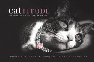 Libro Cattitude Kim Levin