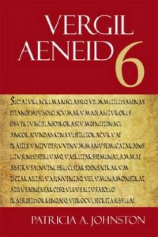 Buch Aeneid 6 Vergil