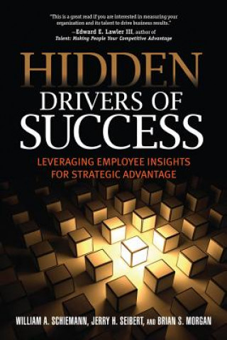 Kniha Hidden Drivers of Success William A. Schiemann
