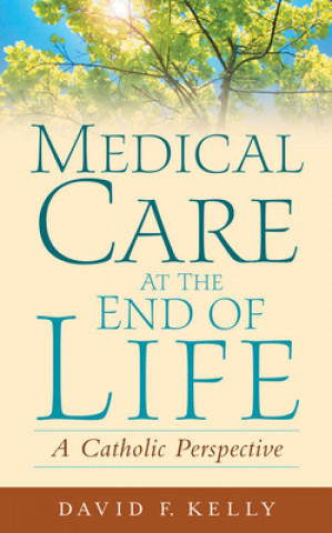 Buch Medical Care at the End of Life David F. Kelly