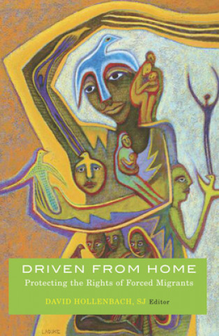 Knjiga Driven from Home Sj David Hollenbach