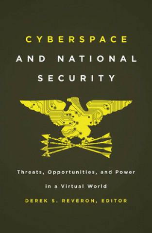 Kniha Cyberspace and National Security 