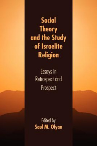 Buch Social Theory and the Study of Israelite Religion Saul M. Olyan