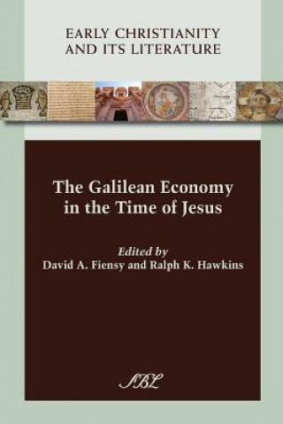 Könyv Galilean Economy in the Time of Jesus David A. Fiensy