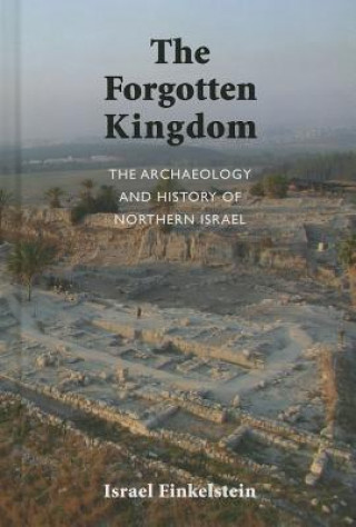 Kniha Forgotten Kingdom Israel Finkelstein