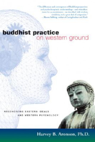 Kniha Buddhist Practice on Western Ground Harvey Aronson