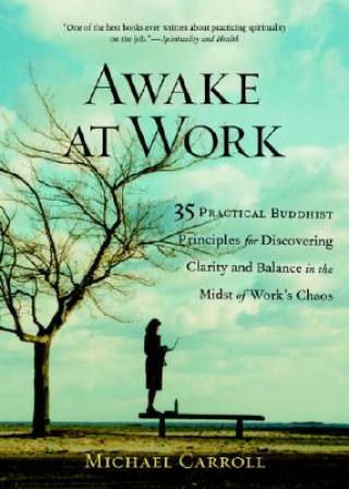 Könyv Awake at Work Michael Carroll