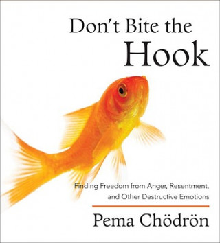 Audio Don't Bite the Hook Pema Chodron