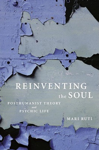 Knjiga Reinventing the Soul Mari Ruti