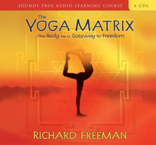 Аудио Yoga Matrix Richard Freeman