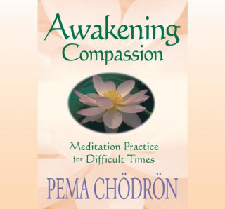 Audio  Awakening Compassion Pema Chodron