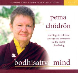 Audio Bodhisattva Mind Pema Chodron