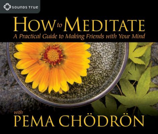 Audio How to Meditate with Pema Chodron Pema Chodron