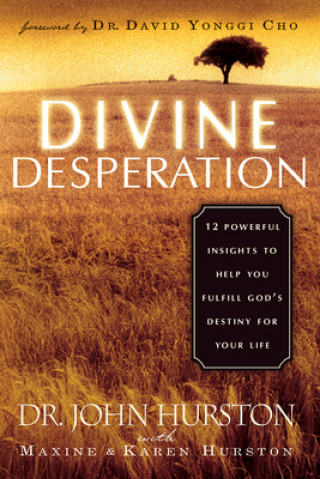 Buch Divine Desperation John Hurston