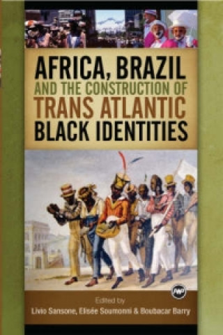 Könyv Africa, Brazil And The Construction Of Trans Atlantic Black Identities 