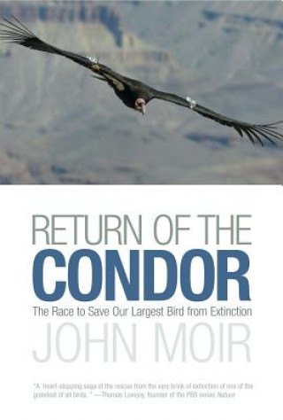 Book Return of the Condor John Moir