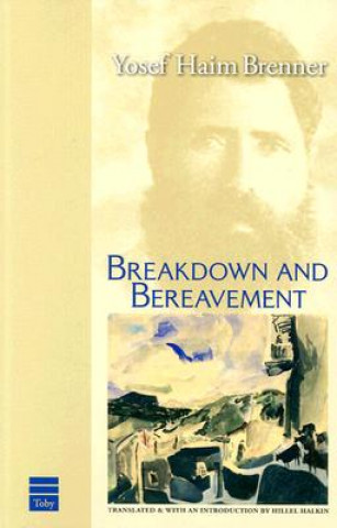 Knjiga Breakdown & Bereavement Y. H. Brenner