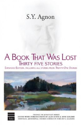 Book Book That Was Lost S.Y. Agnon