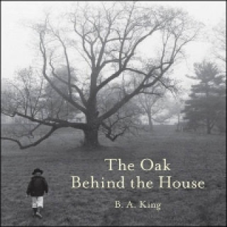 Kniha Oak Behind the House B.A. King