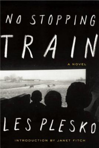 Book No Stopping Train Les Plesko
