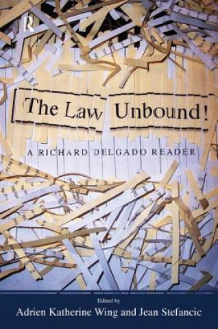 Könyv Law Unbound! Richard Delgado