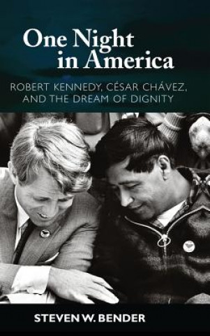 Kniha One Night in America Steven W. Bender