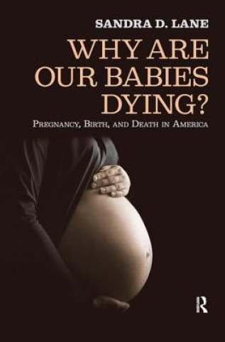 Kniha Why Are Our Babies Dying? Sandra Lane