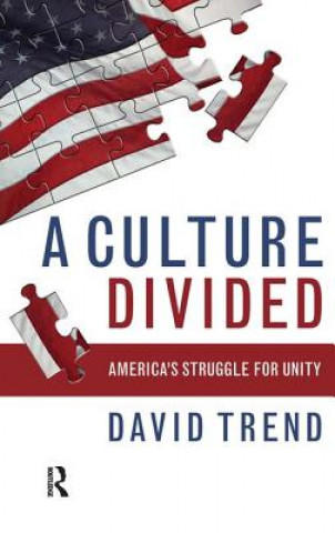 Kniha Culture Divided David Trend