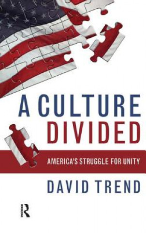 Книга Culture Divided David Trend