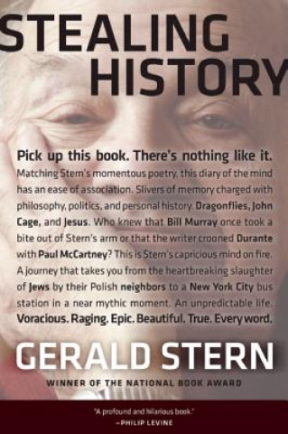 Książka Stealing History Gerald Stern