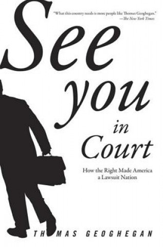 Kniha See You In Court Thomas Geoghegan