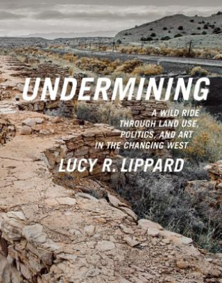 Buch Undermining Lucy Lippard