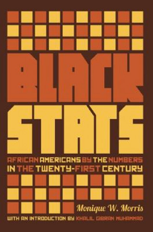Knjiga Black Stats Monique W. Morris