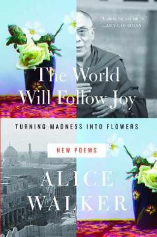 Könyv World Will Follow Joy Alice Walker