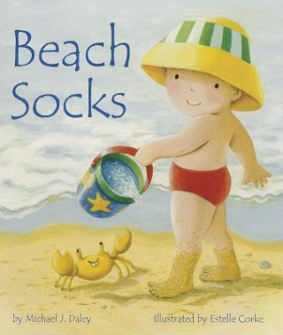 Könyv Beach Socks Michael J Daley