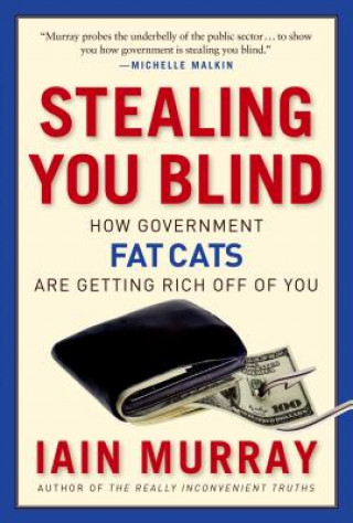 Könyv Stealing You Blind Iain Murray